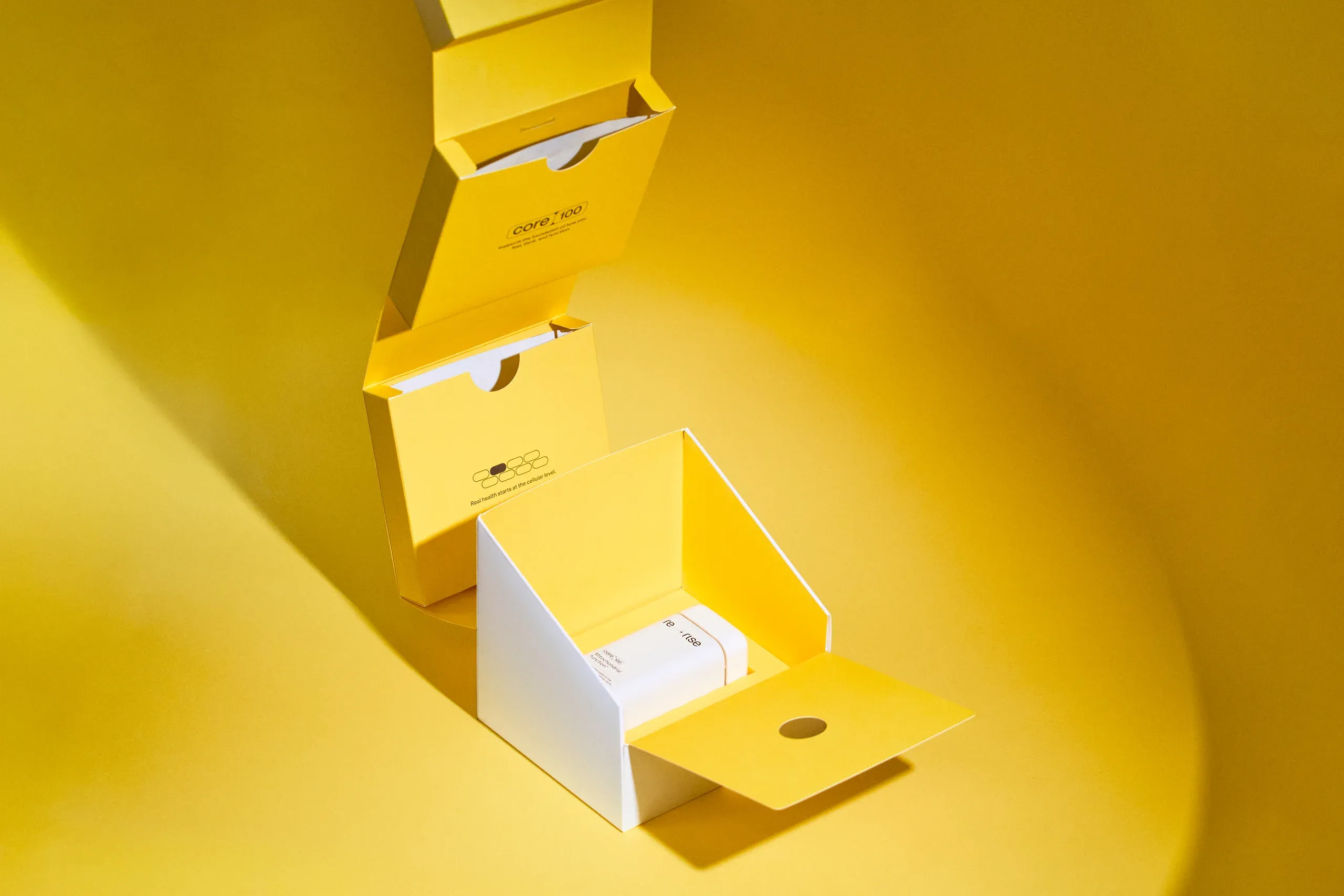 Rerise project image 10